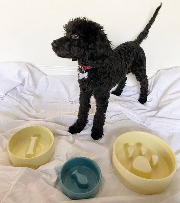 Paw Ceramic Slow Feeder Bowl in Pastel Yellow - Choke Preventing Bowls for Cats & Dogs in Dubai