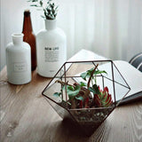 Glass Terrarium - Trapeze Geometric Glass & Copper Terrariums in Dubai